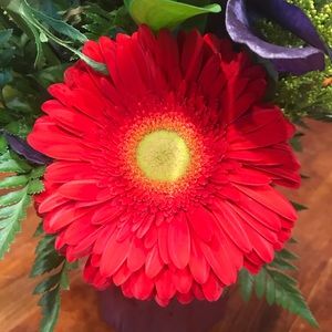 Meet your Posher, Cindi